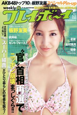 谎言背后电视剧全集在线观看